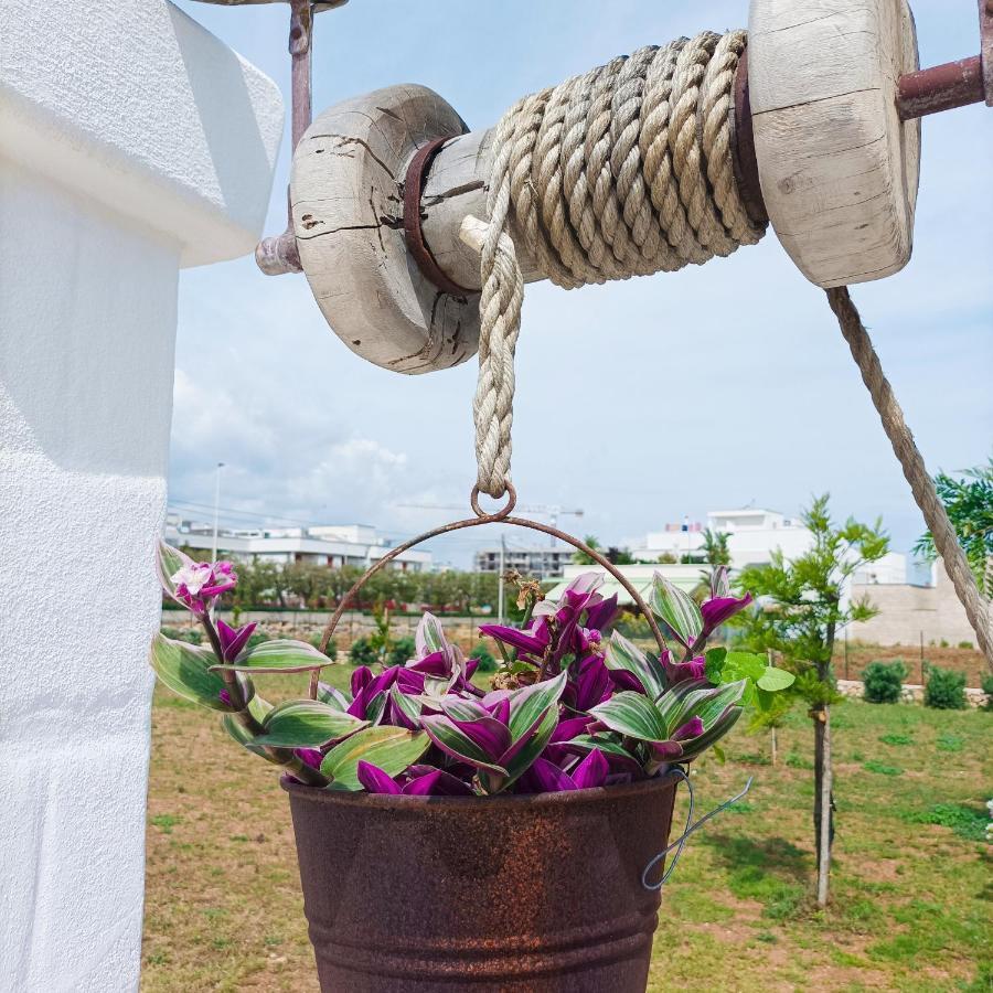 Villa Susca - Villa Sul Mare โมโนโปลี ภายนอก รูปภาพ