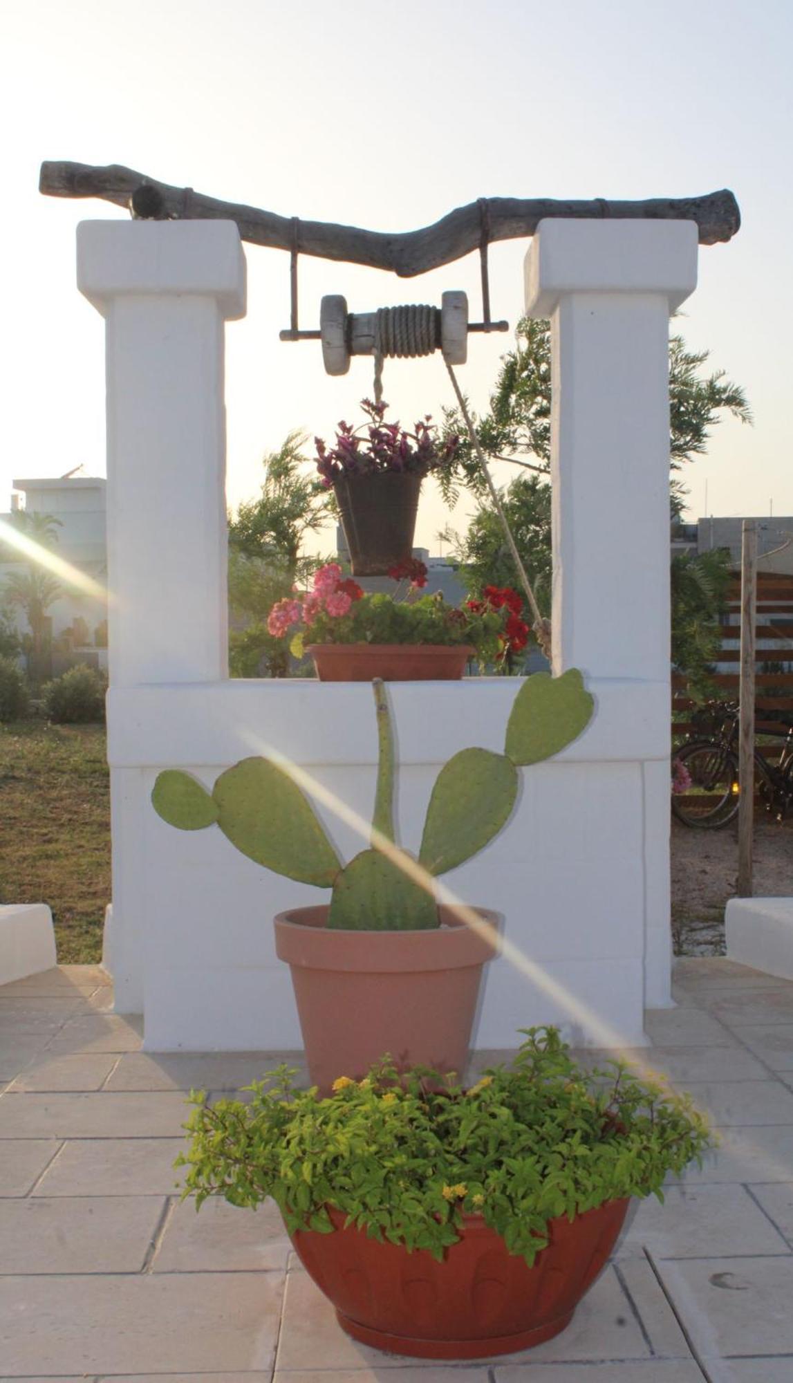 Villa Susca - Villa Sul Mare โมโนโปลี ภายนอก รูปภาพ